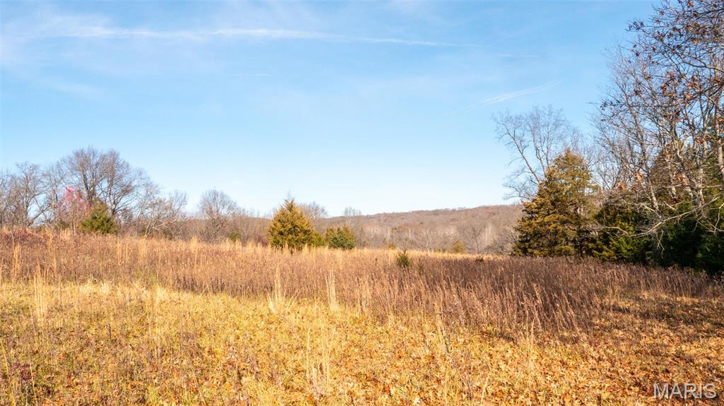 9022 County Road 469 Portland, MO 65067 - Photo 59 of 94