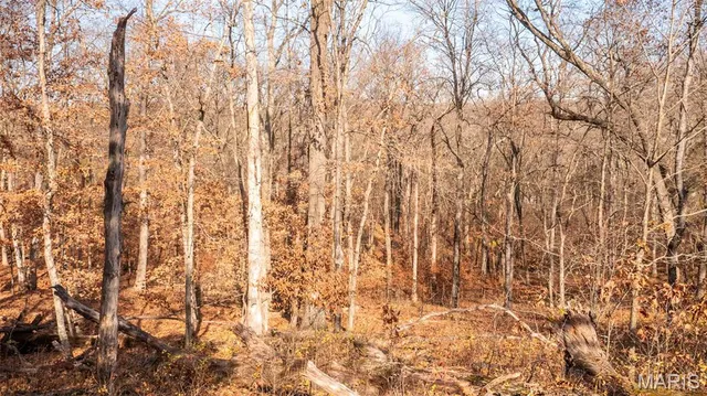 $849,000 | 9022 County Road 469, Portland, MO 65067