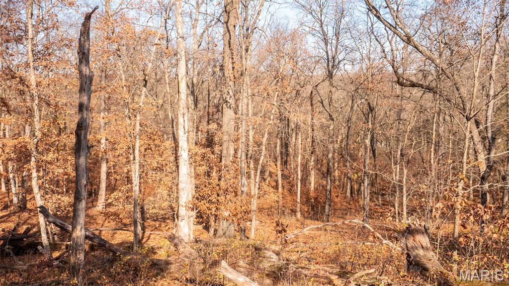 9022 County Road 469 Portland, MO 65067 - Photo 60 of 94