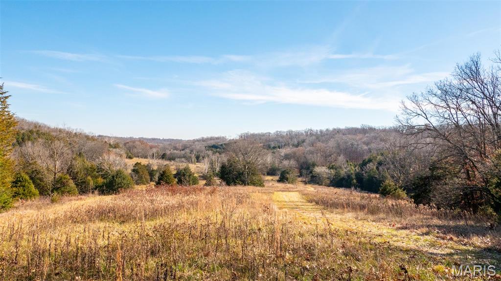 9022 County Road 469 Portland, MO 65067 - Photo 6 of 94