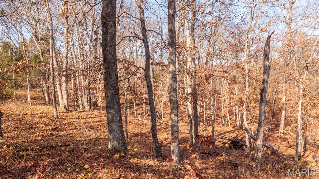 9022 County Road 469 Portland, MO 65067 - Photo 61 of 94