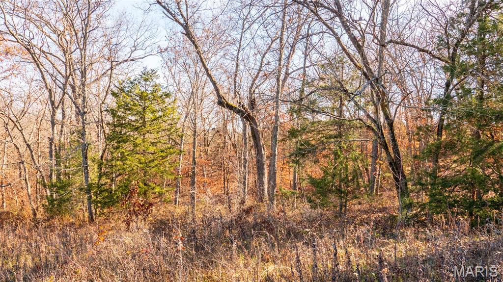 9022 County Road 469 Portland, MO 65067 - Photo 63 of 94