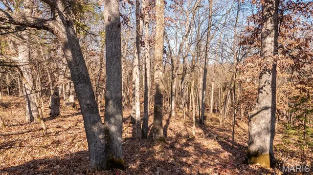 $849,000 | 9022 County Road 469, Portland, MO 65067