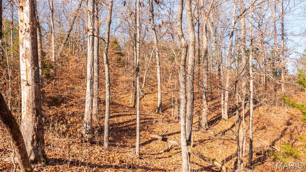 9022 County Road 469 Portland, MO 65067 - Photo 7 of 94