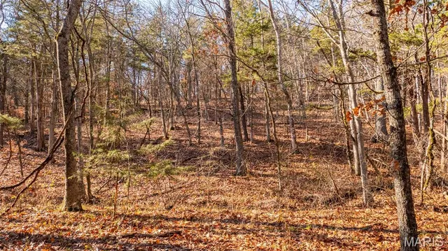 $849,000 | 9022 County Road 469, Portland, MO 65067