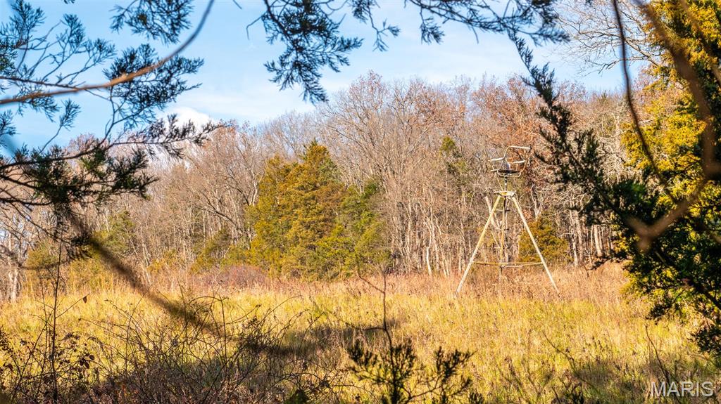 9022 County Road 469 Portland, MO 65067 - Photo 76 of 94