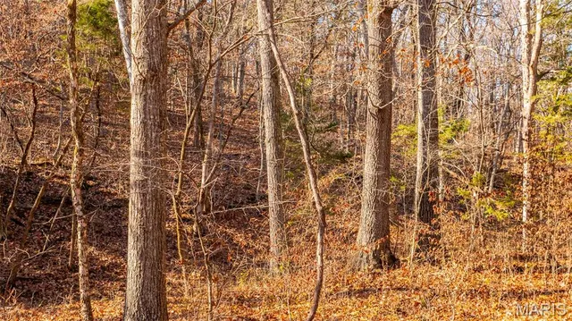 $849,000 | 9022 County Road 469, Portland, MO 65067