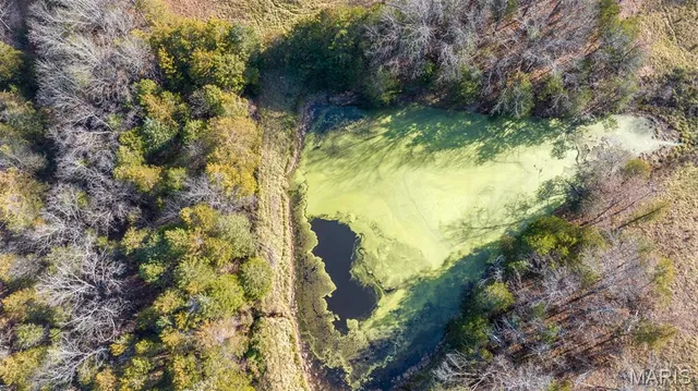 $849,000 | 9022 County Road 469, Portland, MO 65067