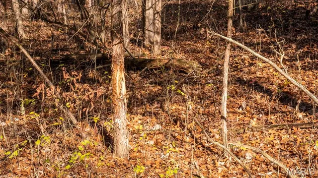 $849,000 | 9022 County Road 469, Portland, MO 65067