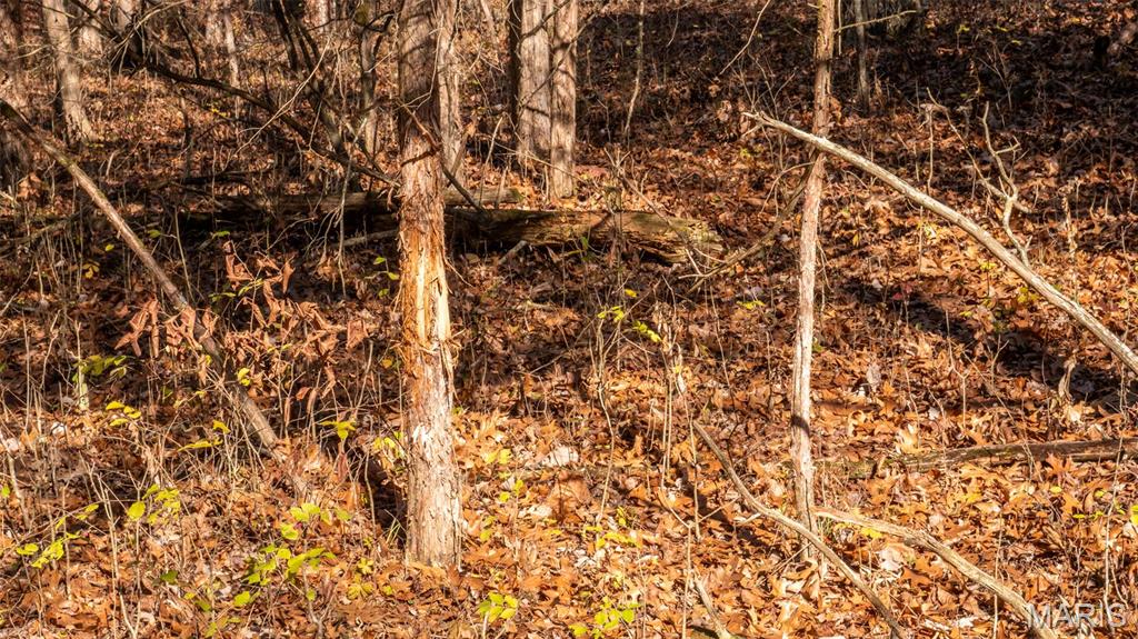 9022 County Road 469 Portland, MO 65067 - Photo 79 of 94