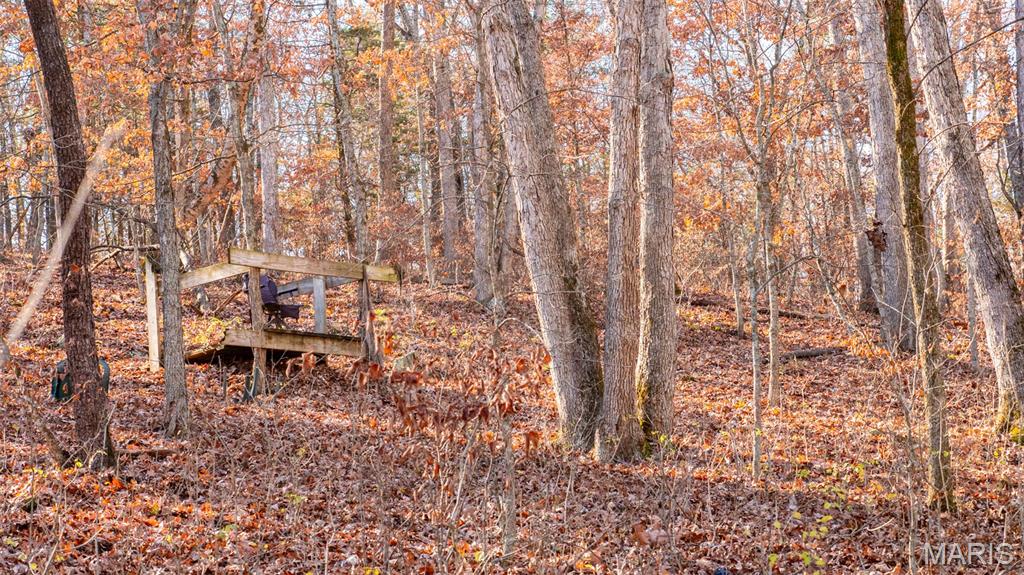 9022 County Road 469 Portland, MO 65067 - Photo 80 of 94