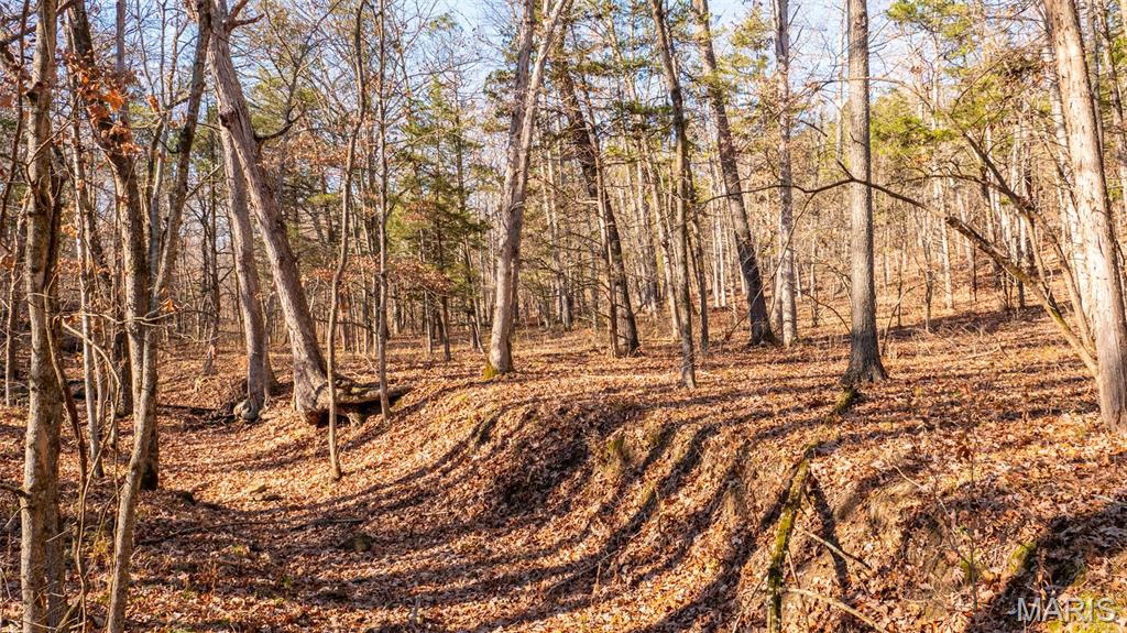 9022 County Road 469 Portland, MO 65067 - Photo 81 of 94