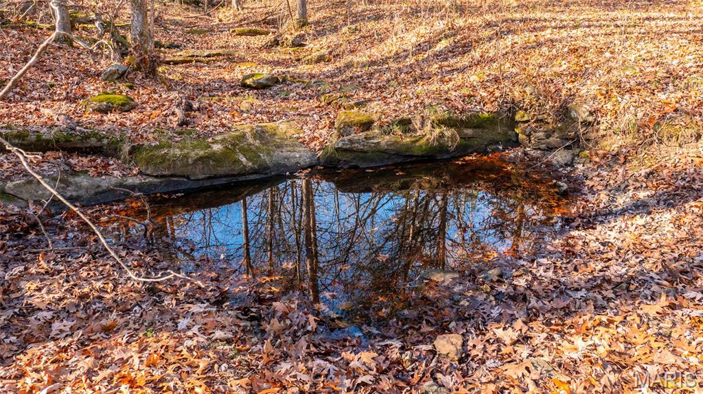 9022 County Road 469 Portland, MO 65067 - Photo 82 of 94