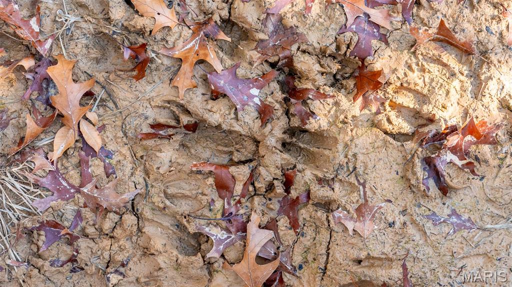 9022 County Road 469 Portland, MO 65067 - Photo 84 of 94