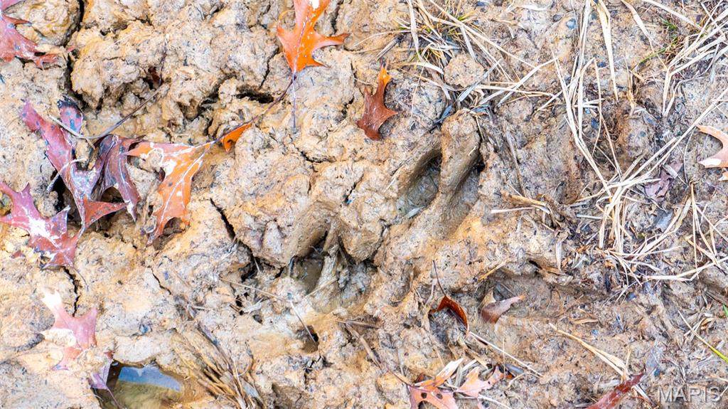 9022 County Road 469 Portland, MO 65067 - Photo 85 of 94