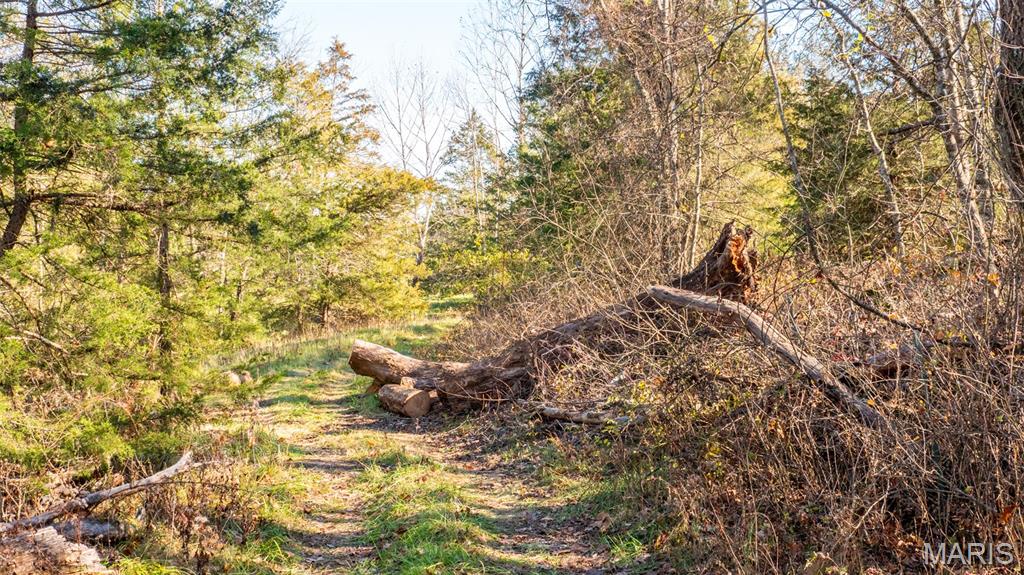 9022 County Road 469 Portland, MO 65067 - Photo 86 of 94