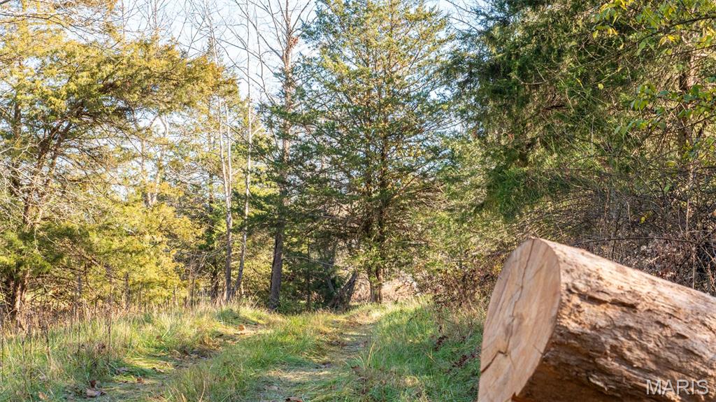 9022 County Road 469 Portland, MO 65067 - Photo 87 of 94