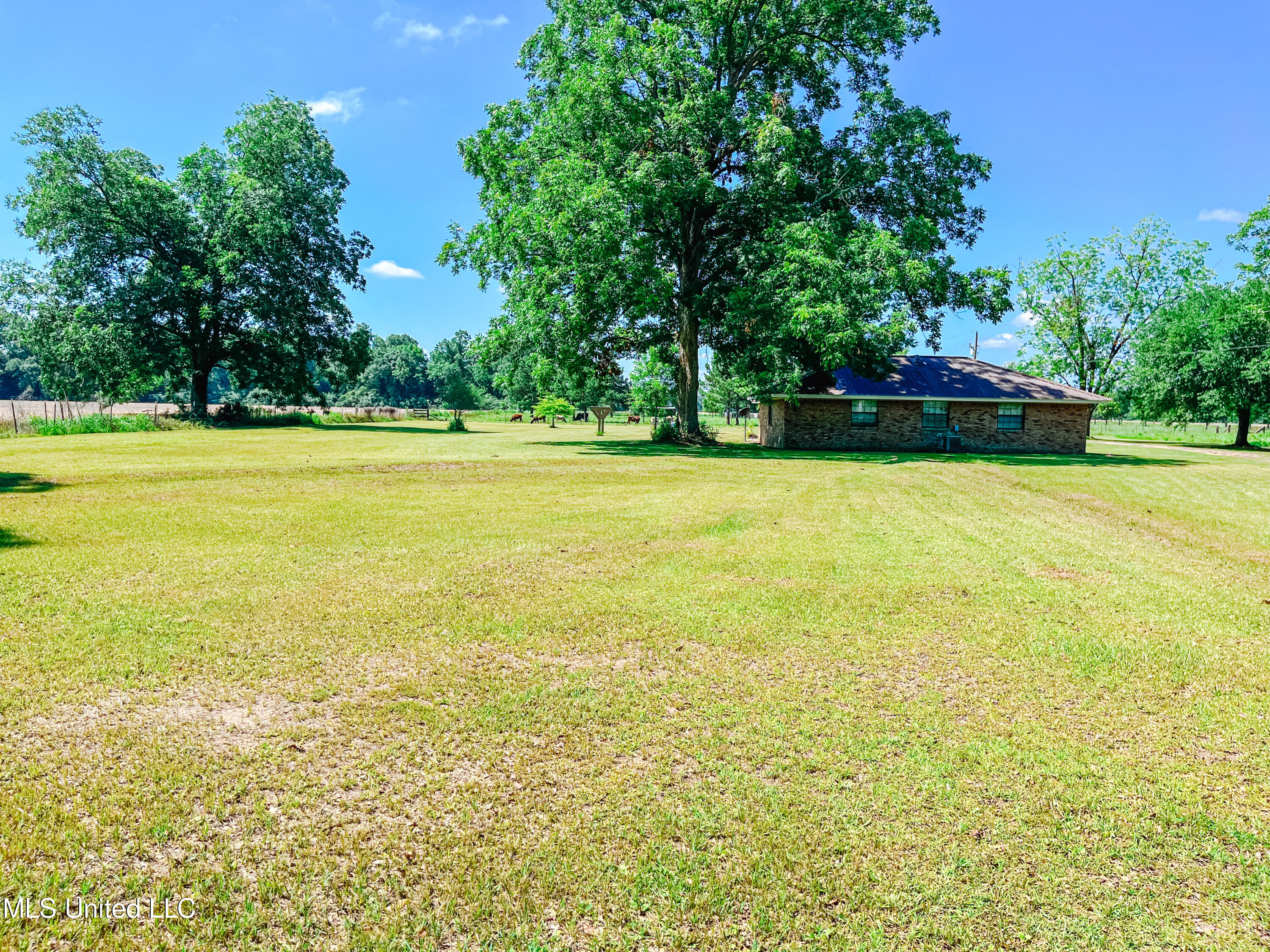 104 Donaldson Road Lucedale, MS 39452 - Photo 36 of 37 IMG_1967
