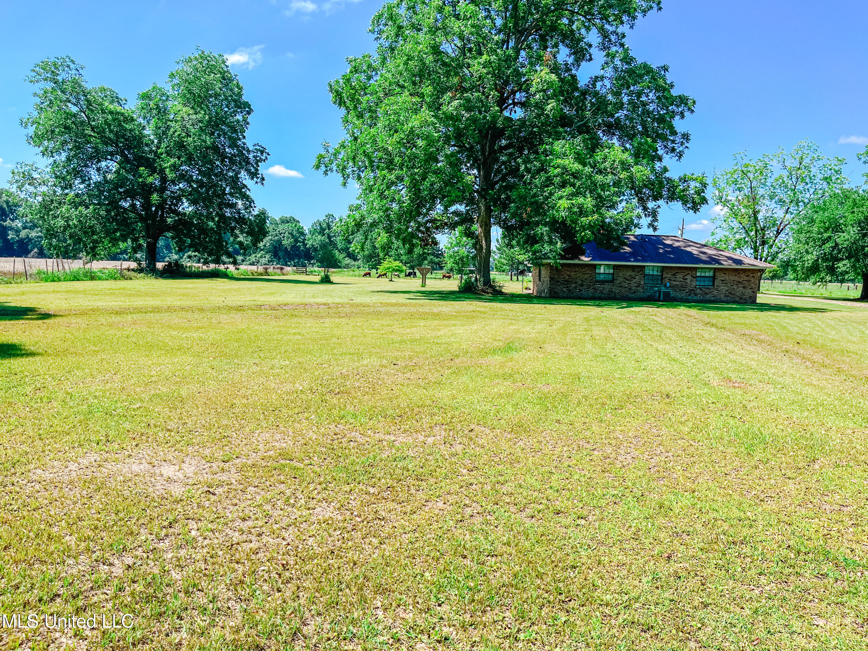 104 Donaldson Road Lucedale, MS 39452 - Photo 37 of 37 IMG_1966