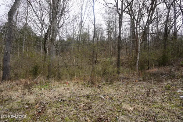 $19,000 | Oakwood Street, Sparta, TN 38583