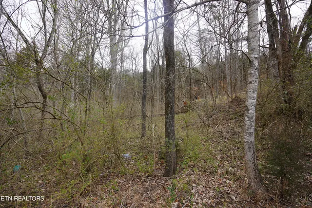 $19,000 | Oakwood Street, Sparta, TN 38583