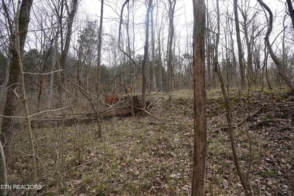 $19,000 | Oakwood Street, Sparta, TN 38583