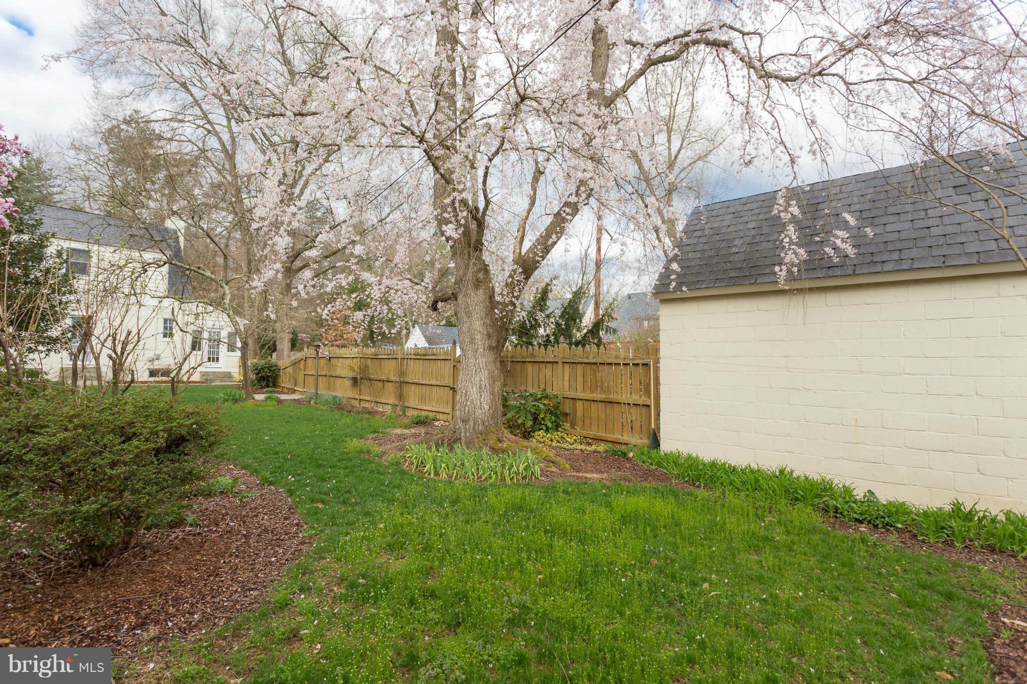 1425 Sunken Road Fredericksburg, VA 22401 - Photo 16 of 30 Exterior (Rear)