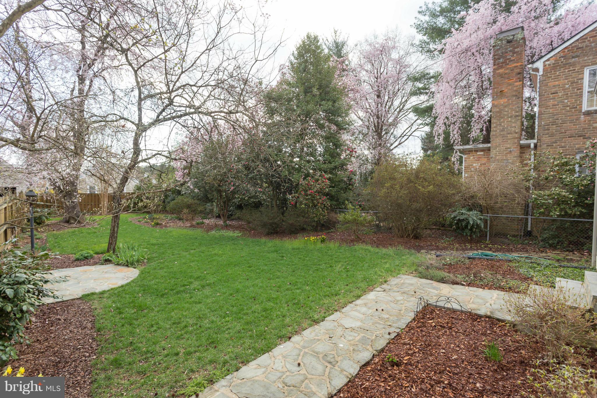 1425 Sunken Road Fredericksburg, VA 22401 - Photo 17 of 30 Exterior (Rear)