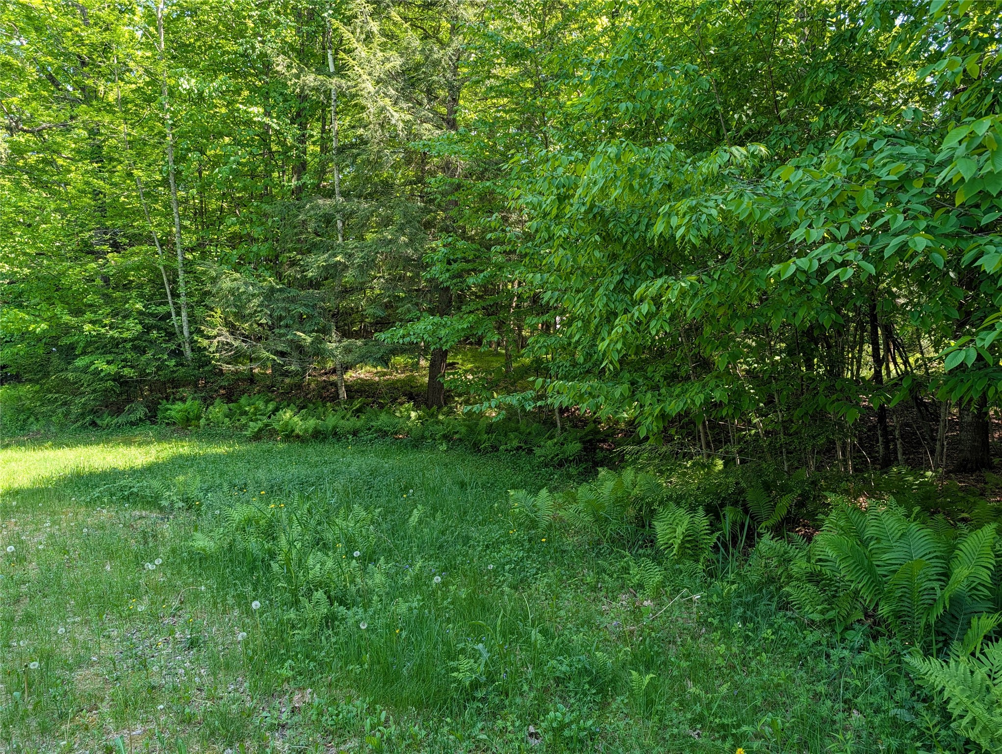 14967 360th Street Stanley, WI 54768 - Photo 9 of 20