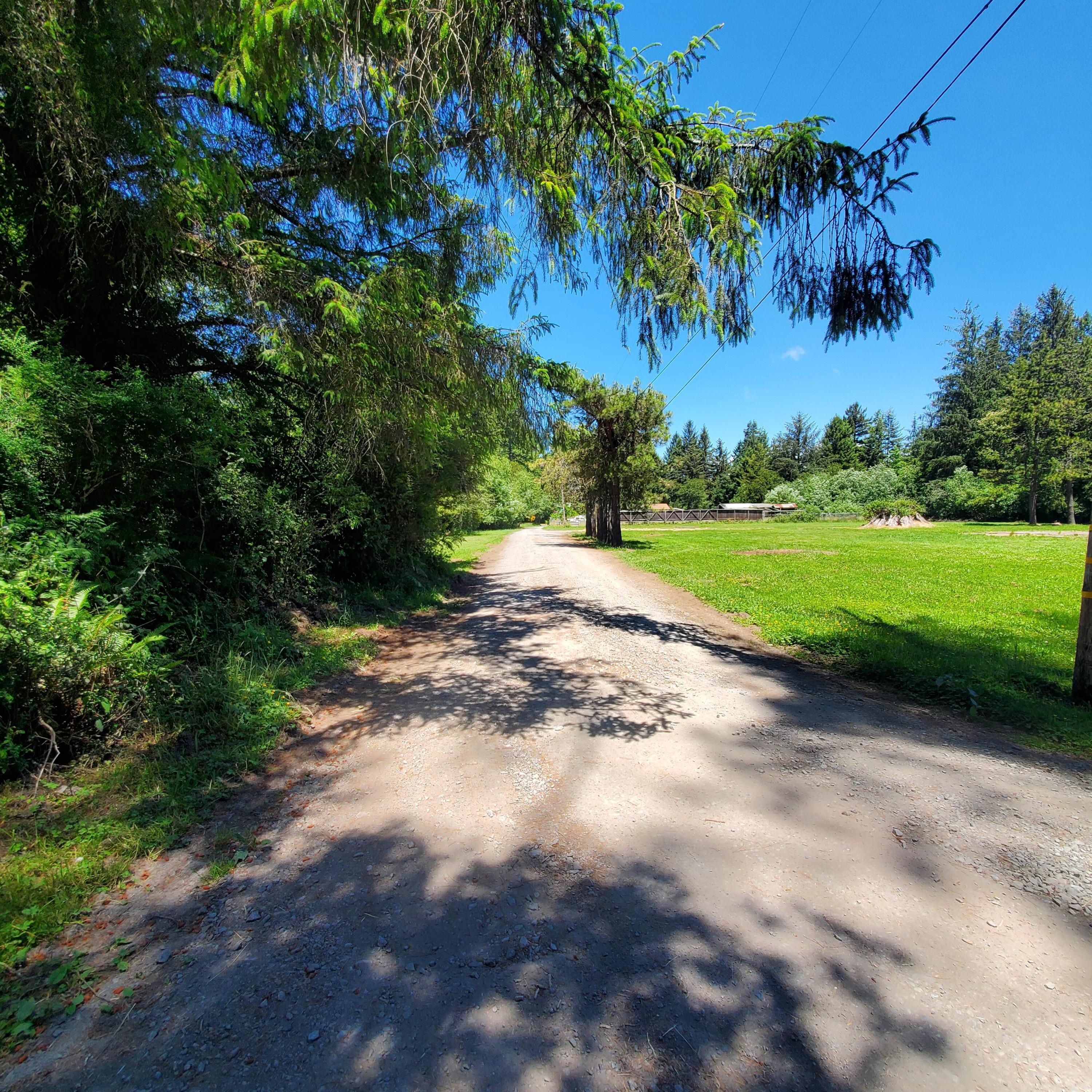 209 Kingston Road Fieldbrook, CA 95519 - Photo 13 of 18 Private driveway