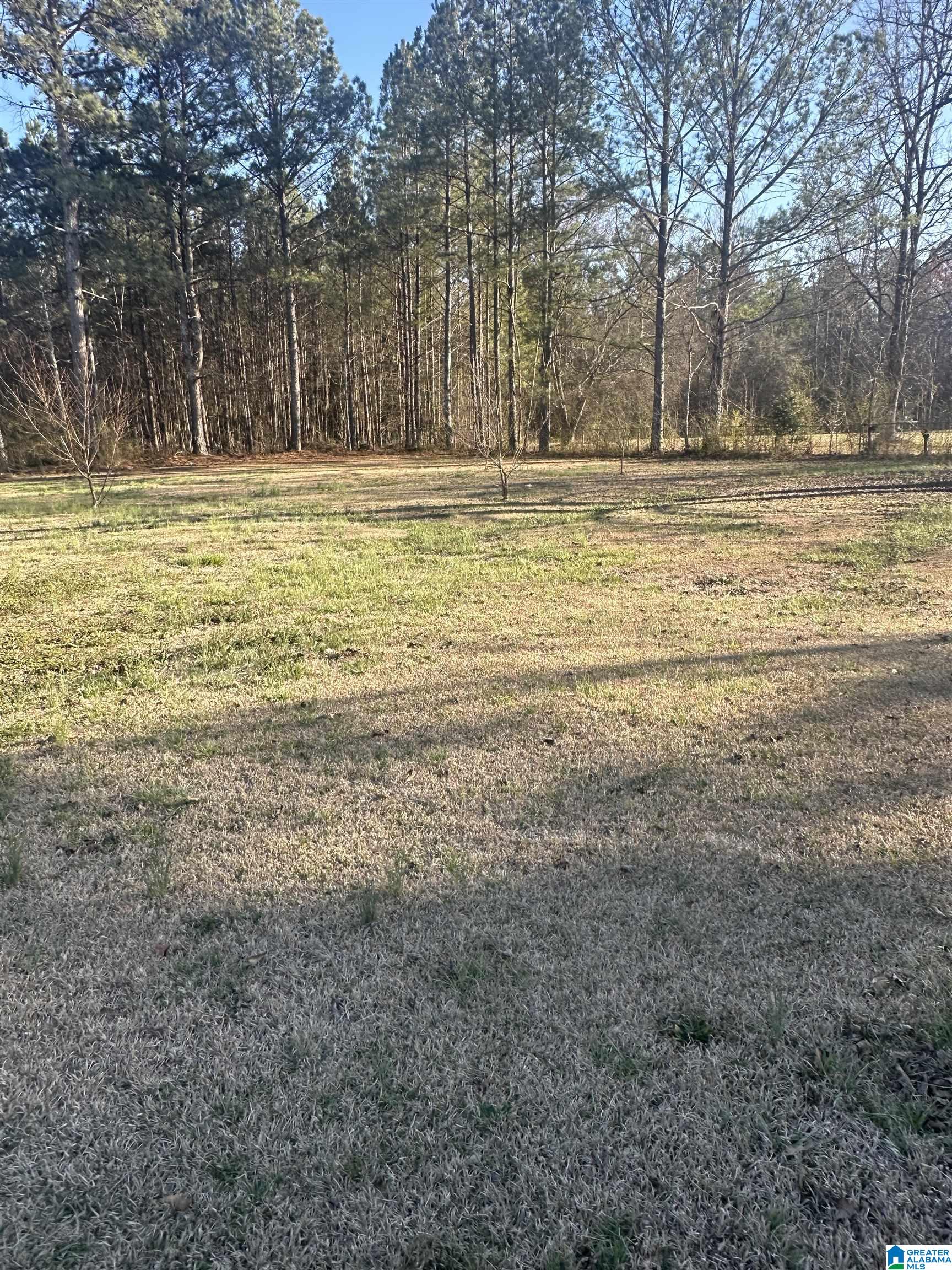 1125 Charlie Penny Road Piedmont, AL 36272 - Photo 16 of 16