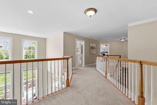 a view of a grassy field with trees