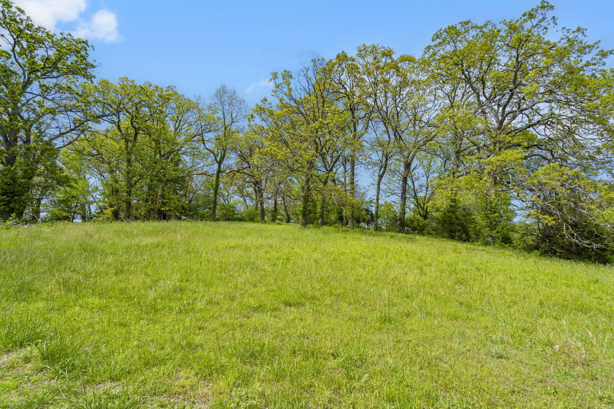 809 North 9th Street Ozark, MO 65721 - Photo 9 of 13 4-web-or-mls-DSC00074