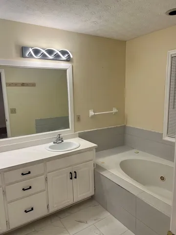 a bathroom with a sink and a bathtub