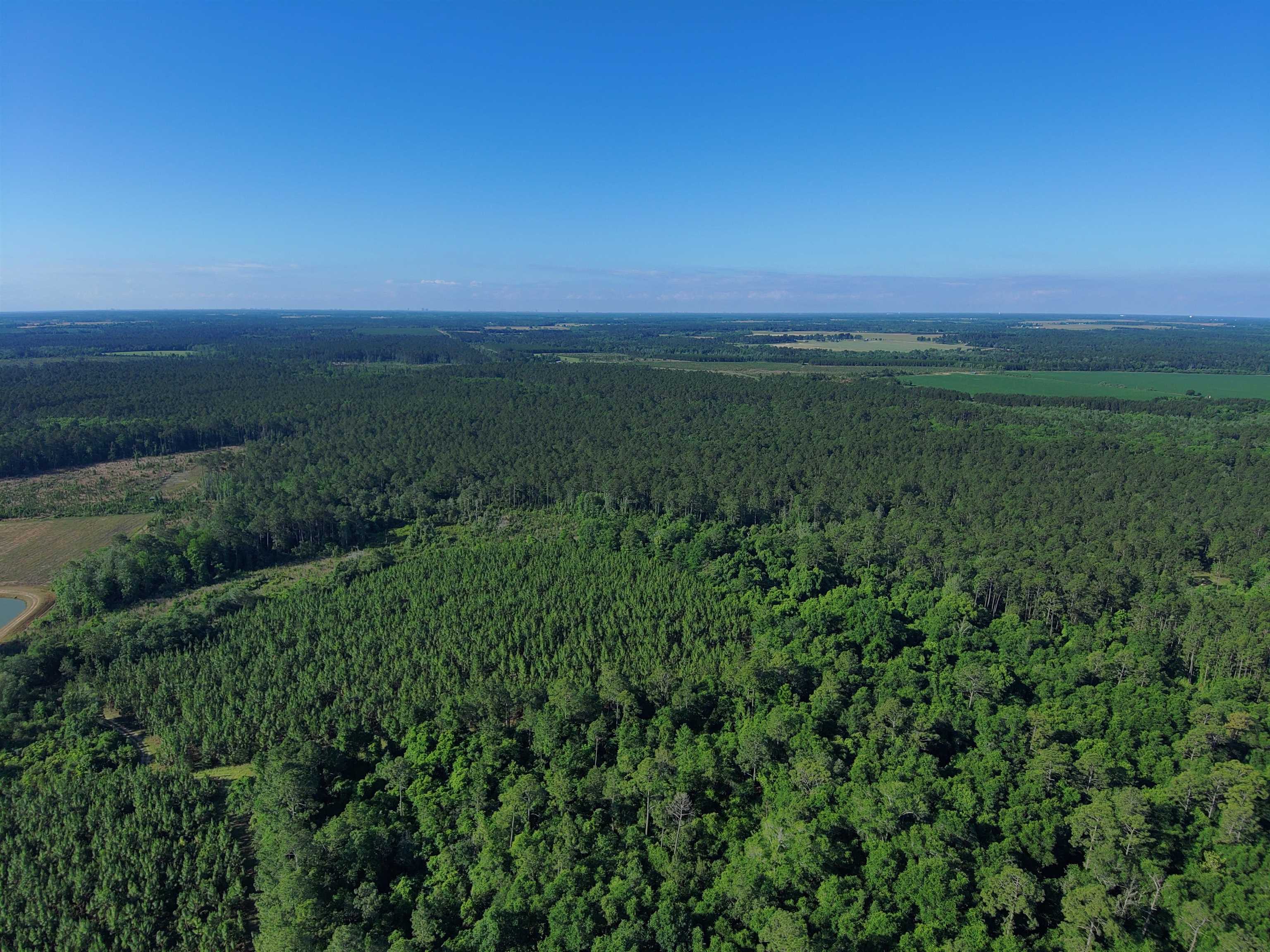 87 County Road 87 Elberta, AL 36530 - Photo 43 of 66