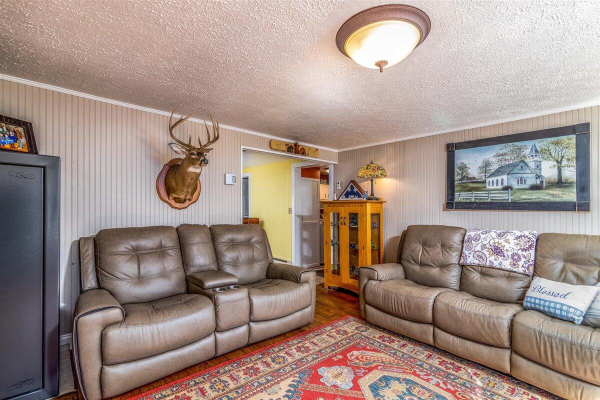 2717 Thompson Ridge Road Ferrum, VA 24088 - Photo 4 of 25 a living room with furniture and a window