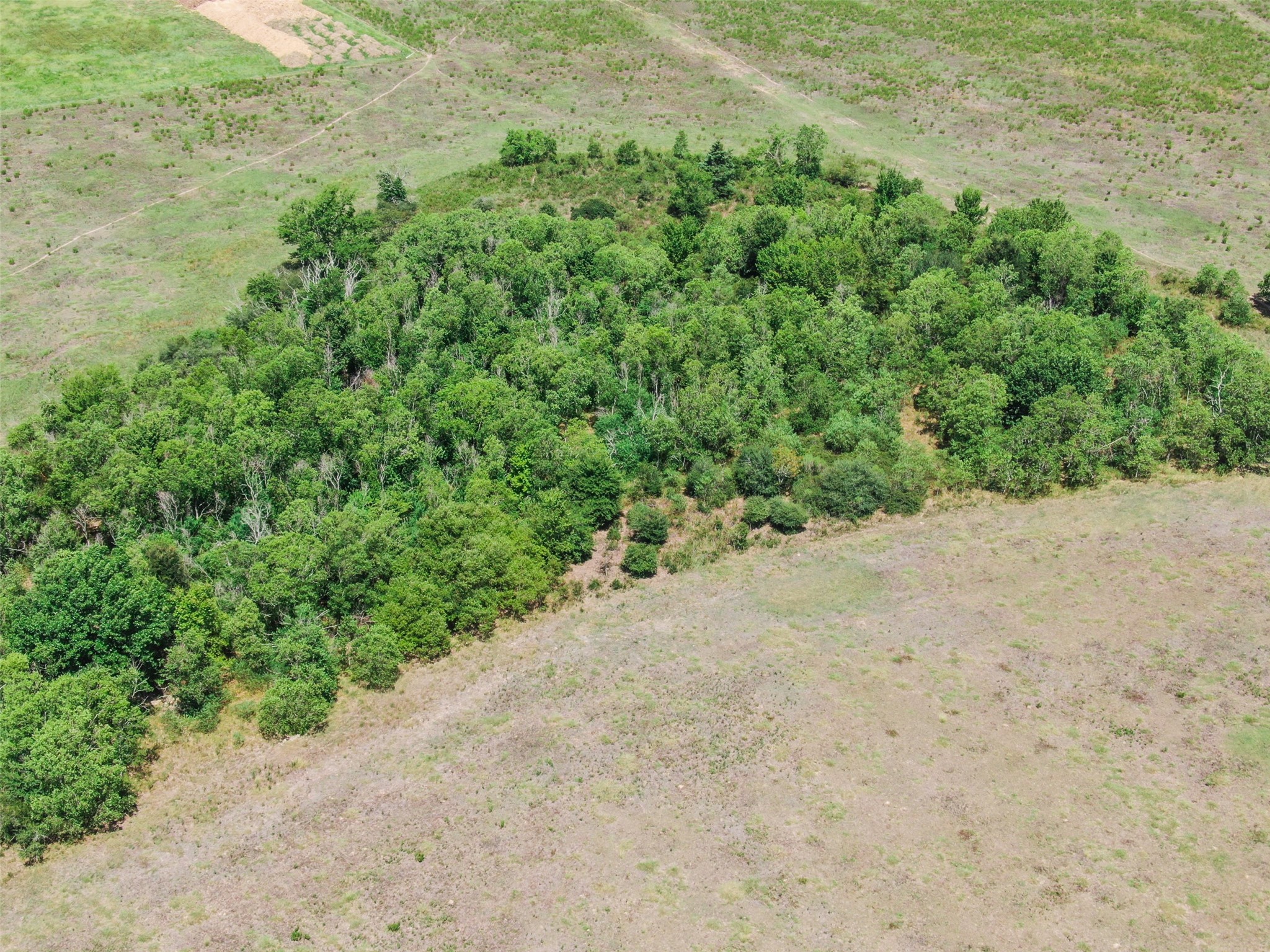 98-ac Field Store Road Waller, TX 77484 - Photo 9 of 13