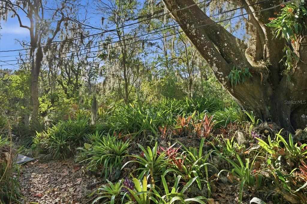 16921 Crawley Road Odessa, FL 33556 - Photo 9 of 53