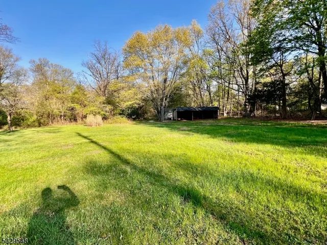 a view of a trees in front of a building