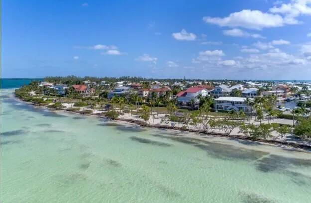 a view of a swimming pool with a yard