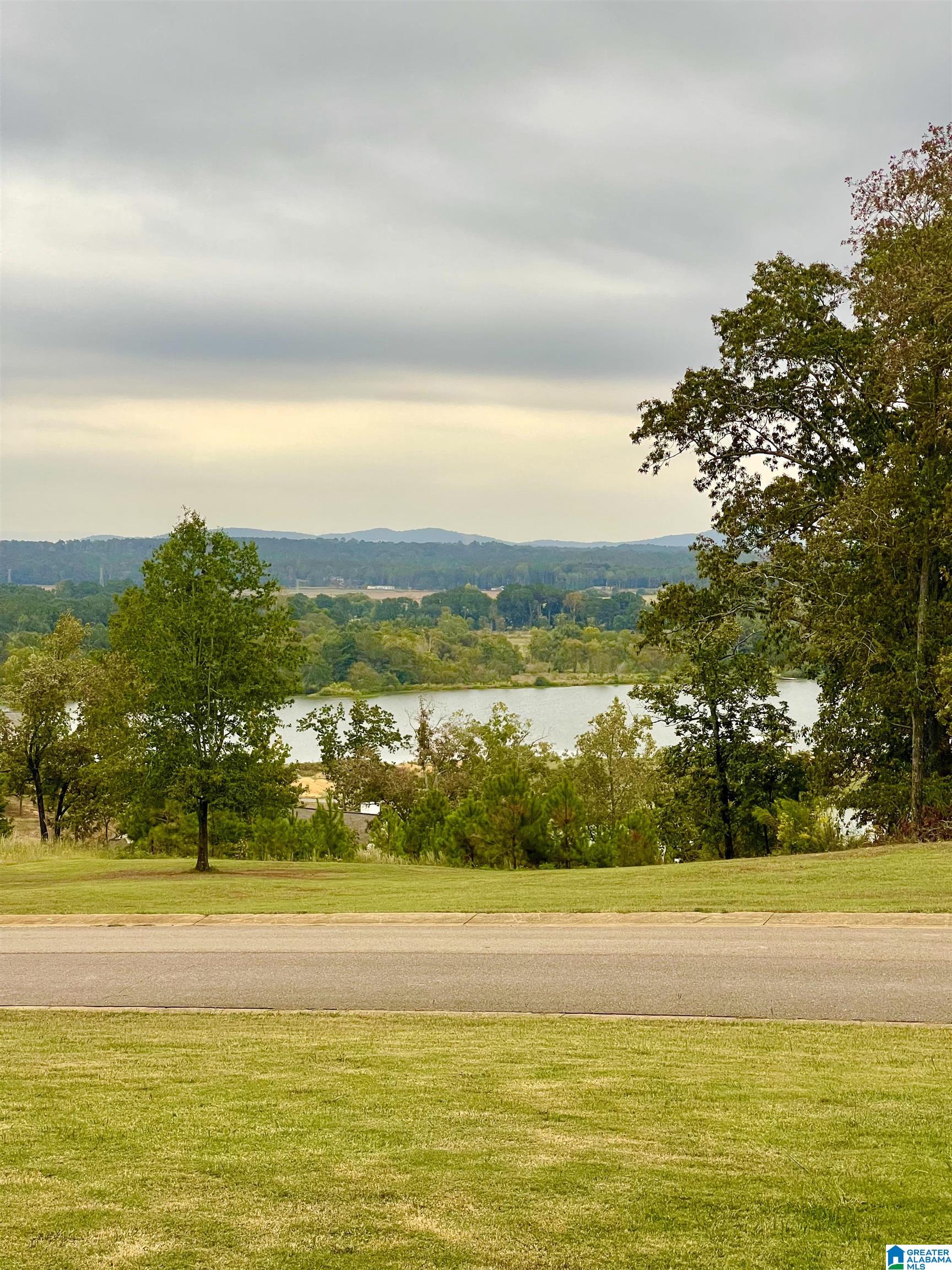 90 Overlook Ridge Lincoln, AL 35096 - Photo 13 of 20