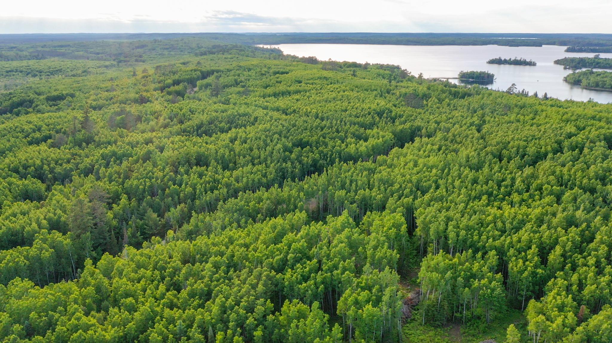 27 Frazer Bay Road Tower, MN 55790 - Photo 5 of 11