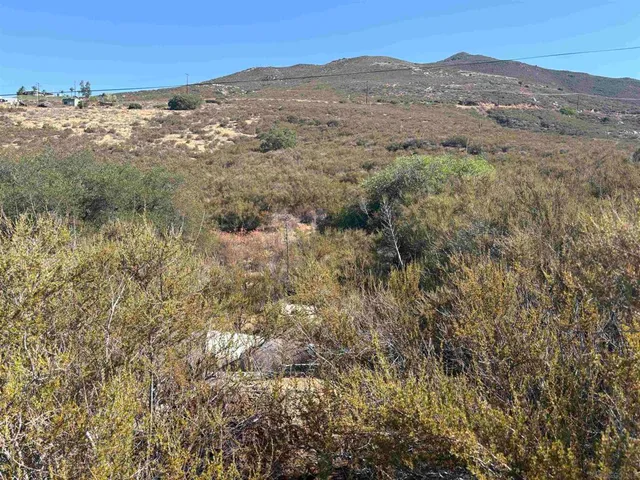 a view of a dry yard with mountain view