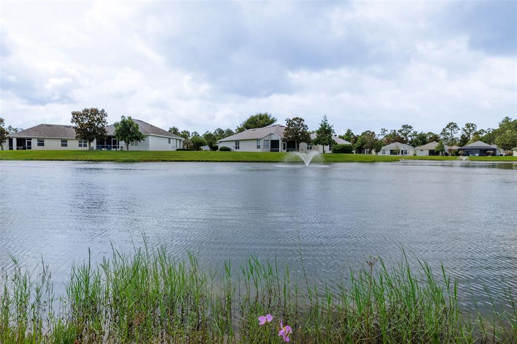 61 Raintree Circle Palm Coast, FL 32164 - Photo 4 of 33