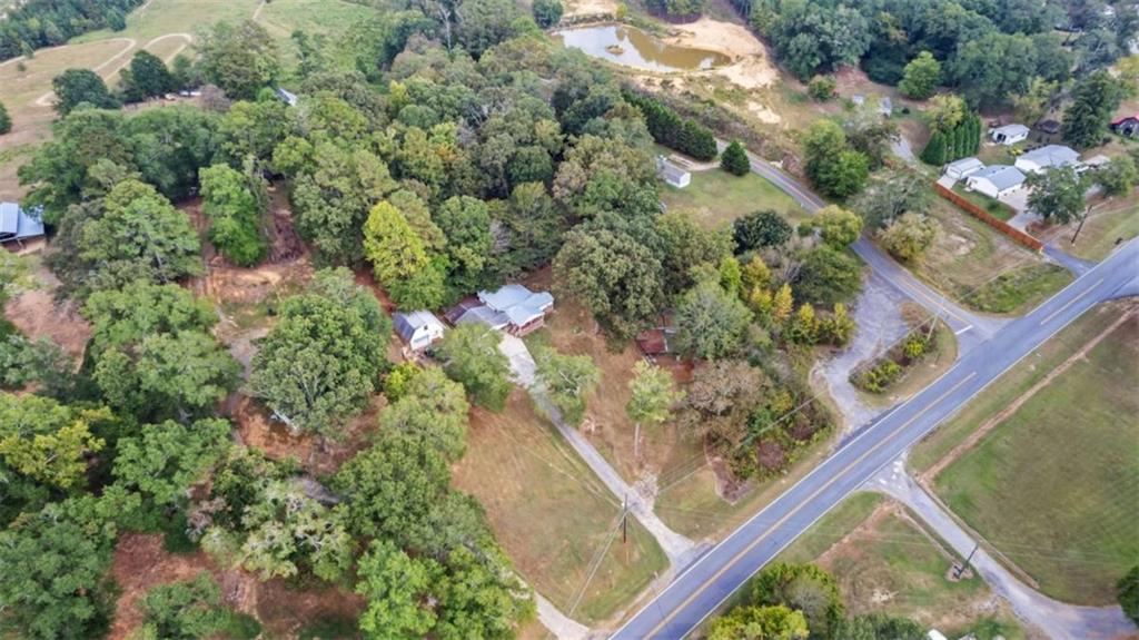 2557 Wax Road Southeast Aragon, GA 30104 - Photo 16 of 18 a view of a tree with a plant