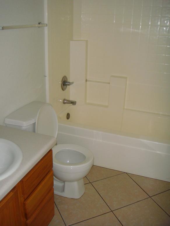 2542 West Roeser Road Phoenix, AZ 85041 - Photo 5 of 9 master bath