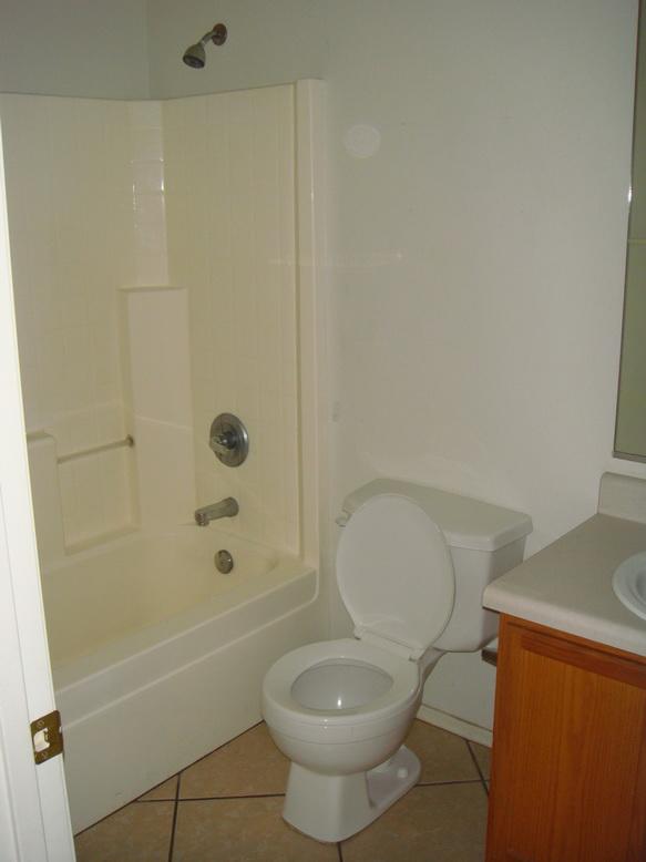 2542 West Roeser Road Phoenix, AZ 85041 - Photo 8 of 9 bathroom 2