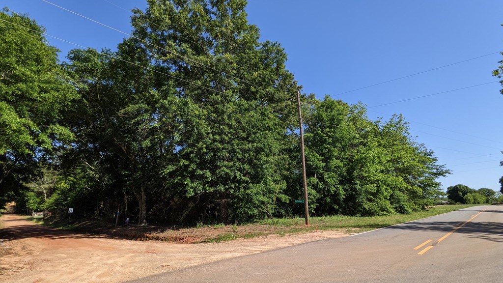 Undisclosed Address Headland, AL 36345 - Photo 3 of 5