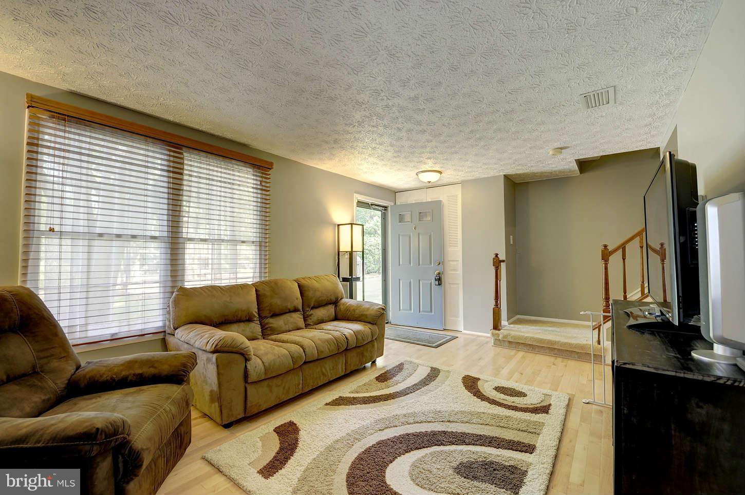 12125 Purple Sage Court Reston, VA 20194 - Photo 6 of 29 Living Room