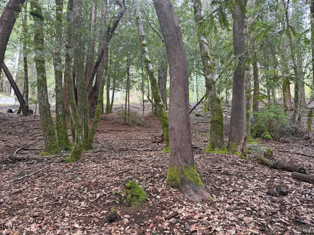 $3,500 | 27369 Bear Drive, Willits, CA 95490